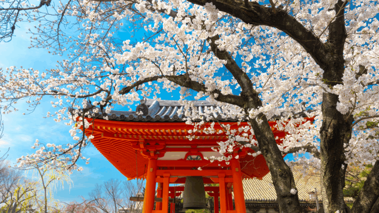 Frühlings-Tagundnachtgleiche