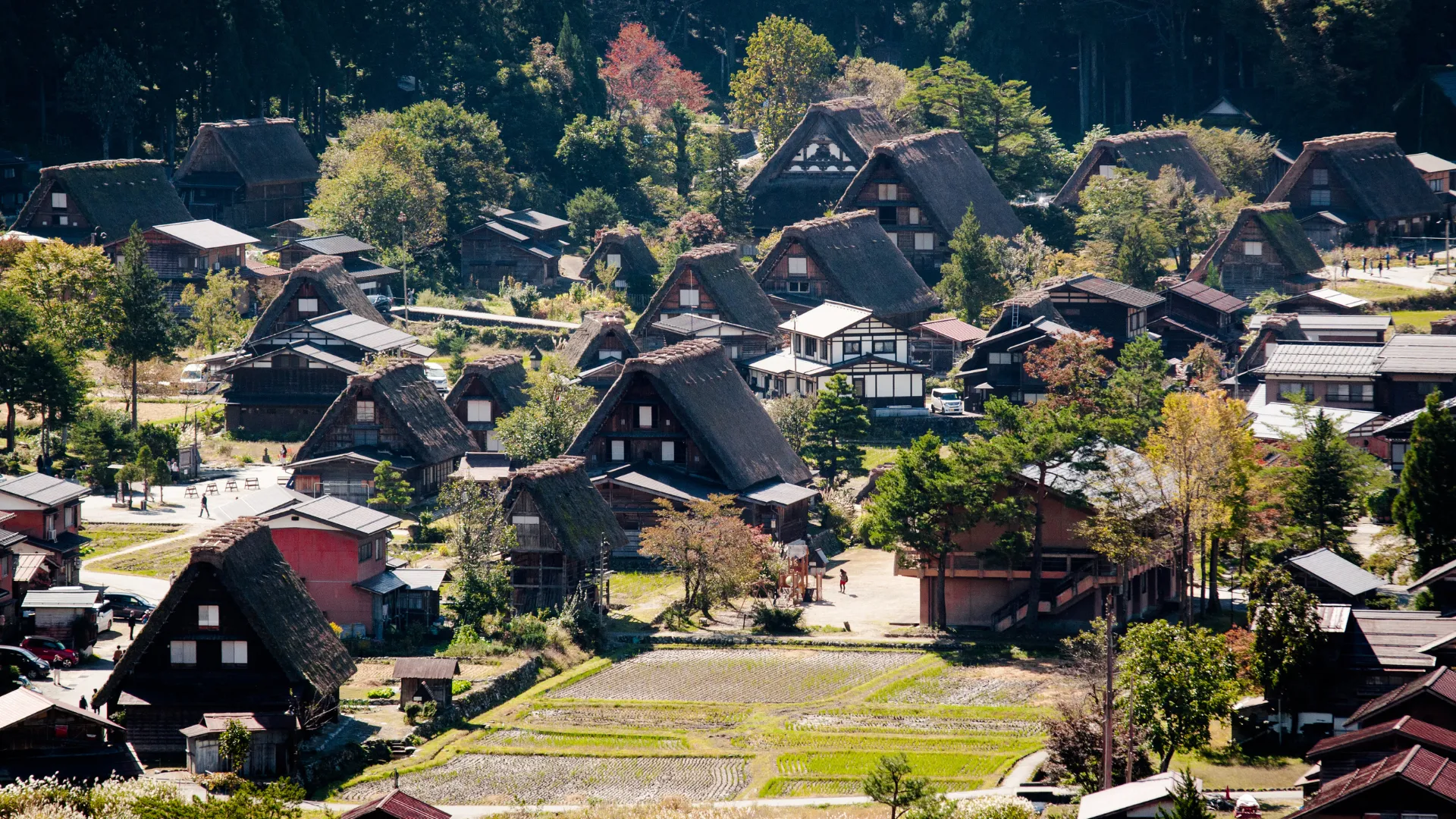 Historische-Doerfer-von-Shirakawa-go