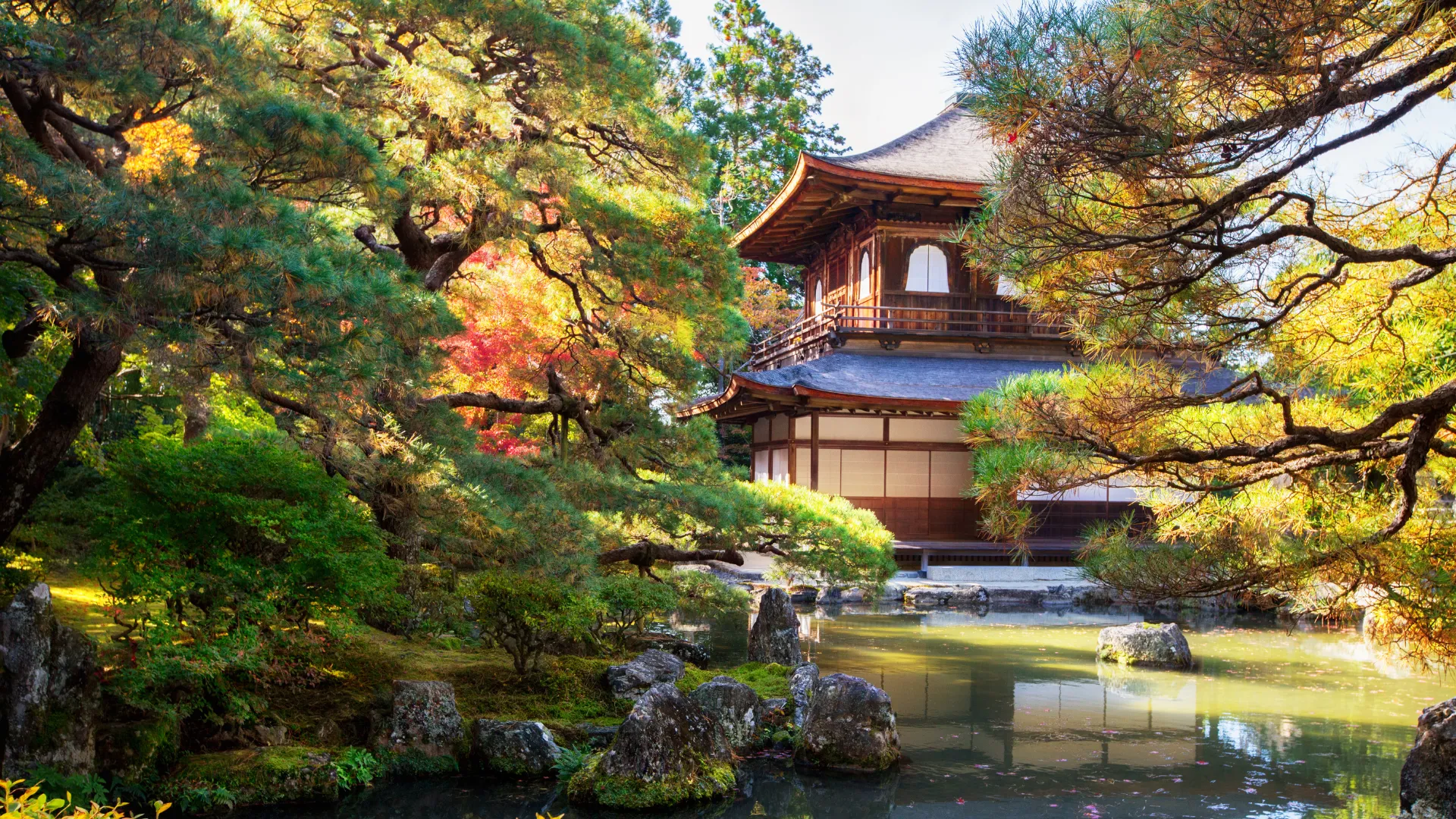 Japanese-Summer